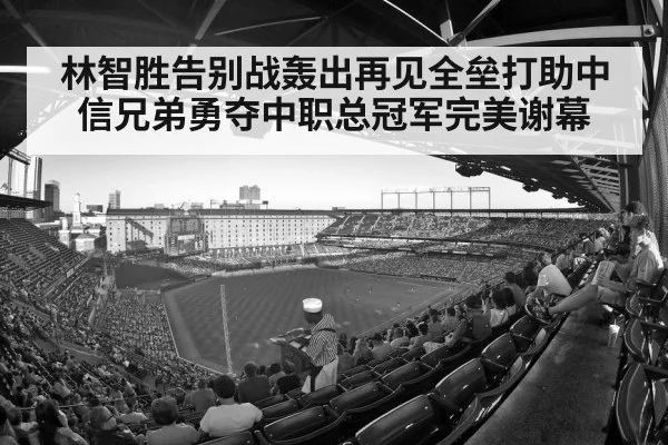 林智胜告别战轰出再见全垒打助中信兄弟勇夺中职总冠军完美谢幕